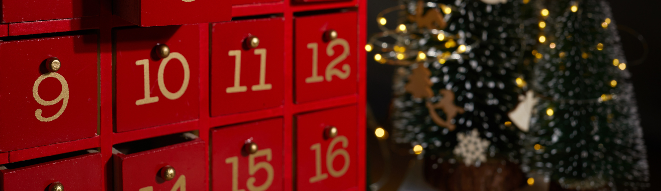 Magiczny 10 grudnia w Olivii! Kiermasz, świąteczna misja i koncert!